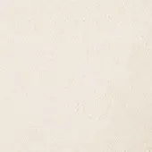 5018100 - LATTE